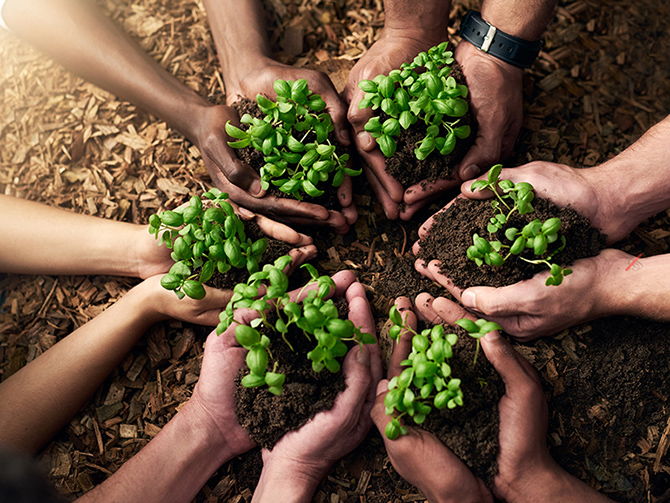 Sustainability at Sharjah Falconers Club