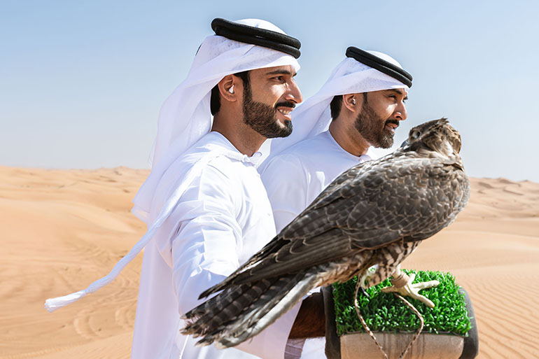 Holding training courses and workshops to teach falconry