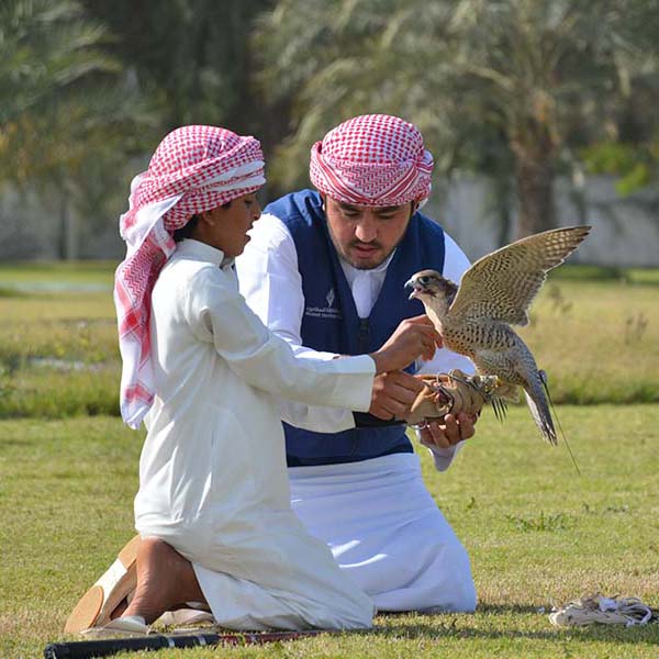 معرض الصور