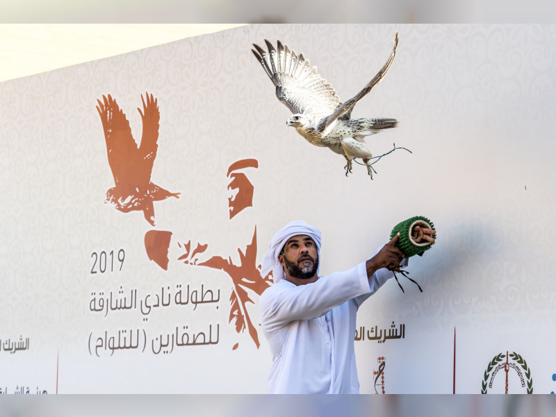 Sharjah falconers club Telwah competition 2019