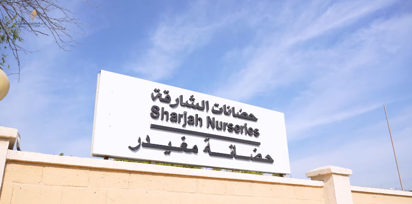 Sharjah Falconers Club Participates in National Day Events at Mughaydir Nursery