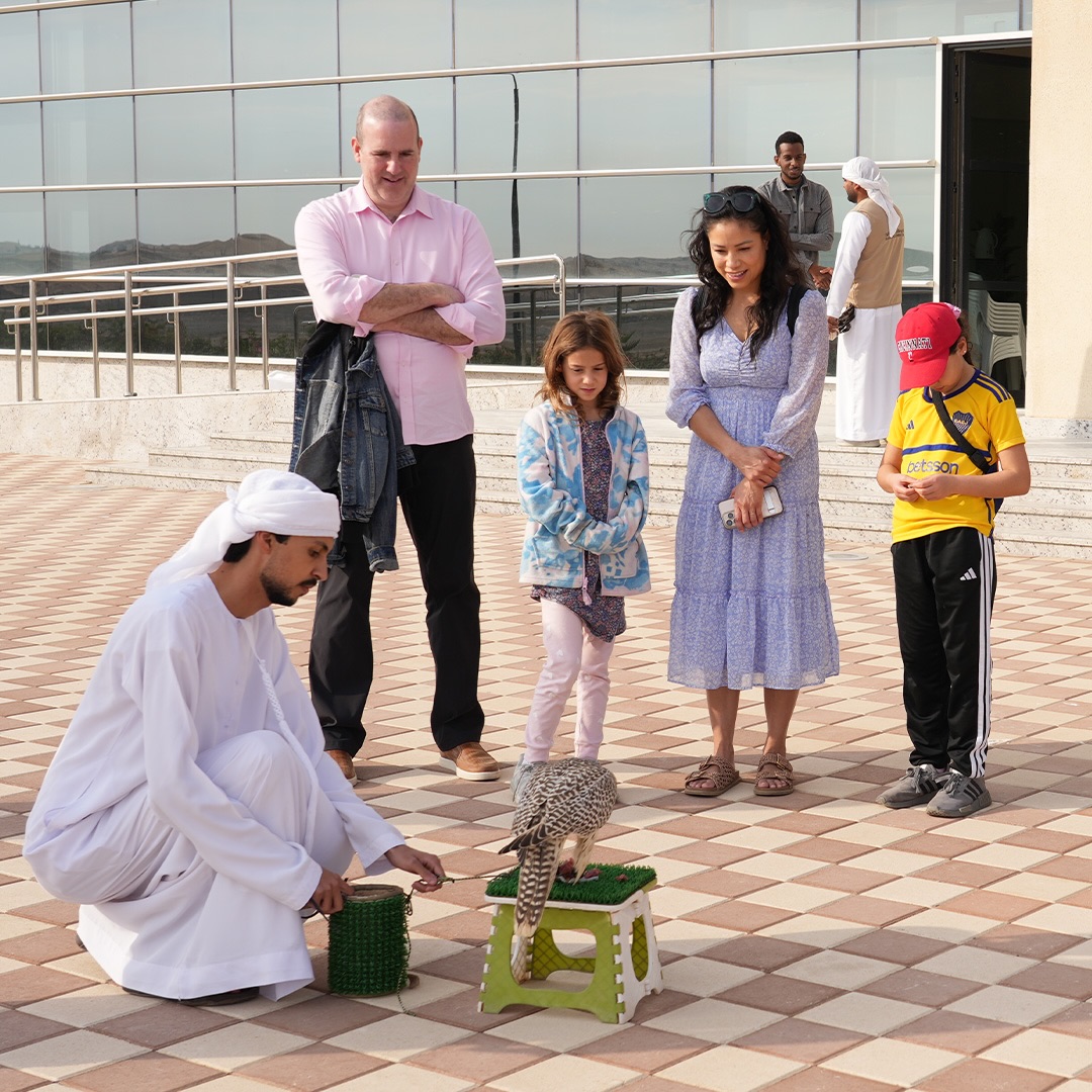 American Tourists Visit Sharjah Falconers Club to Explore Emirati Heritage